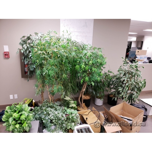 Assorted Silk Plants w/ Various Styles of Plant Pot Allsold.ca Buy